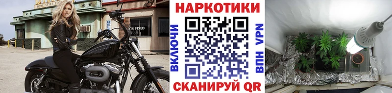 Купить закладку АМФЕТАМИН  Марихуана  Псилоцибиновые грибы  Alpha PVP  ГАШИШ  COCAIN  МЕФ  Скопин