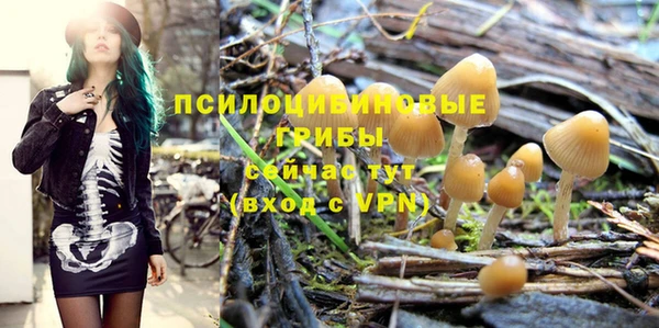 ГАЛЛЮЦИНОГЕННЫЕ ГРИБЫ Рославль