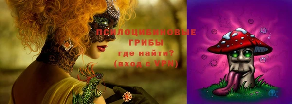 твердый Ростов