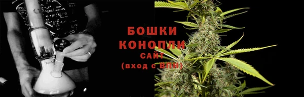 ГАЛЛЮЦИНОГЕННЫЕ ГРИБЫ Рославль