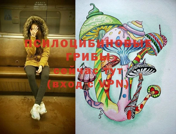 твердый Ростов