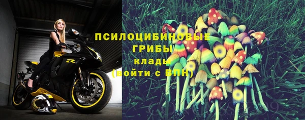 бошки Россошь
