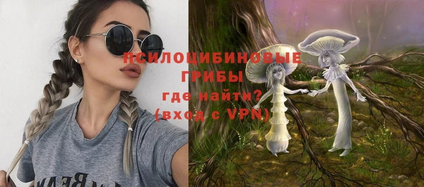 ГАЛЛЮЦИНОГЕННЫЕ ГРИБЫ Рославль