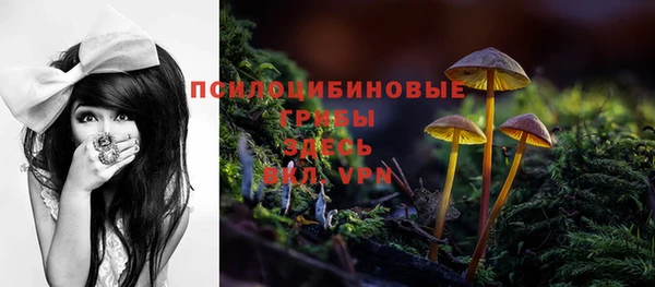 бошки Россошь